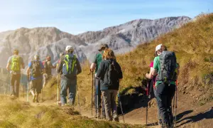 Grupa turystów maszeruje po górskim szlaku, używając kijków trekkingowych. To świetny przykład, jak chodzić z kijkami trekkingowymi, by czerpać radość z wędrówki.