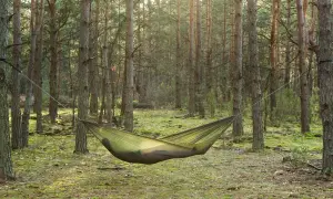 Zielony hamak w lesie, zawieszony między drzewami, zaprasza do odpoczynku wśród natury.