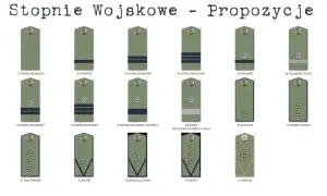 Ilustracja pokazuje stopnie wojskowe, w tym stopień kapitana (Hauptmann).