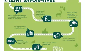 Gdzie można nocować w lesie? Informacja o parkowaniu, psach na smyczy, grzybach, biwakowaniu, ciszy i sprzątaniu.