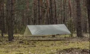 Rozstawiony tarp w lesie, pokazujący, jak zabezpieczyć namiot przed deszczem. Chroni przed wilgocią i wiatrem.