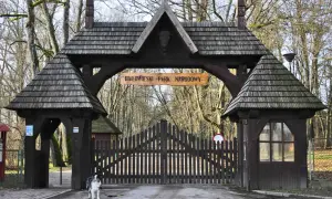 Pies czeka przy bramie Białowieskiego Parku Narodowego. Czy do parku narodowego można wejść z psem? Sprawdź regulamin!