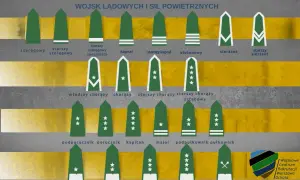 Stopnie wojskowe Ukrainy: od szeregowego do marszałka. Ilustracja przedstawia hierarchię i oznaczenia stopni w wojsku.