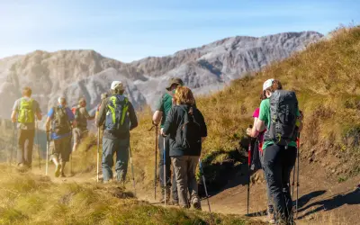 Grupa turystów maszeruje po górskim szlaku, używając kijków trekkingowych. To świetny przykład, jak chodzić z kijkami trekkingowymi, by czerpać radość z wędrówki.