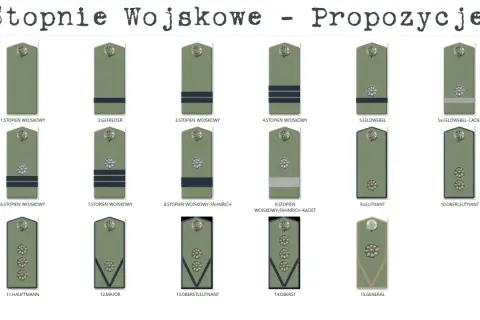 Ilustracja pokazuje stopnie wojskowe, w tym stopień kapitana (Hauptmann).