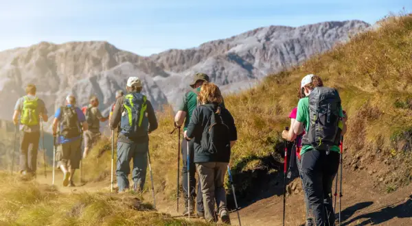 Grupa turystów maszeruje po górskim szlaku, używając kijków trekkingowych. To świetny przykład, jak chodzić z kijkami trekkingowymi, by czerpać radość z wędrówki.