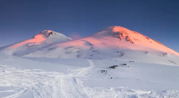 Elbrus, najwyższy szczyt w Europie, skąpany w różowym świetle wschodu słońca. Śnieżne zbocza usiane śladami nart.