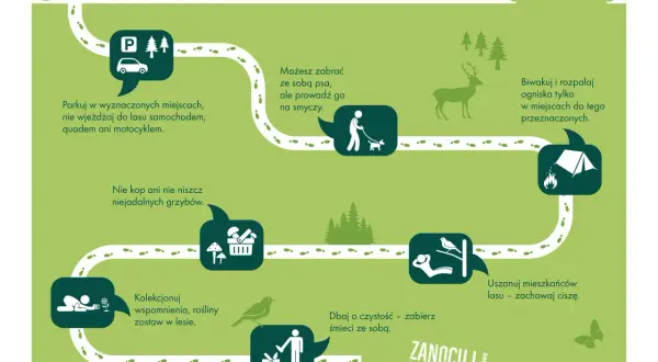 Gdzie można nocować w lesie? Informacja o parkowaniu, psach na smyczy, grzybach, biwakowaniu, ciszy i sprzątaniu.