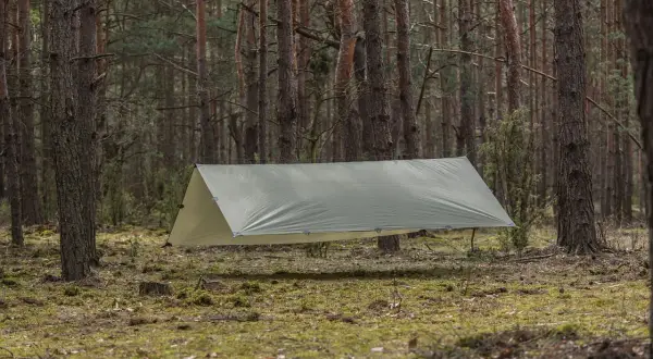 Rozstawiony tarp w lesie, pokazujący, jak zabezpieczyć namiot przed deszczem. Chroni przed wilgocią i wiatrem.