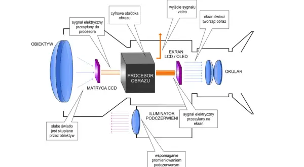 Schemat działania noktowizora: obiektyw skupia słabe światło, matryca CCD przetwarza je, procesor obrazu generuje sygnał na ekran LCD/OLED, który przez okular tworzy obraz.