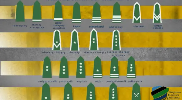 Stopnie wojskowe Ukrainy: od szeregowego do marszałka. Ilustracja przedstawia hierarchię i oznaczenia stopni w wojsku.