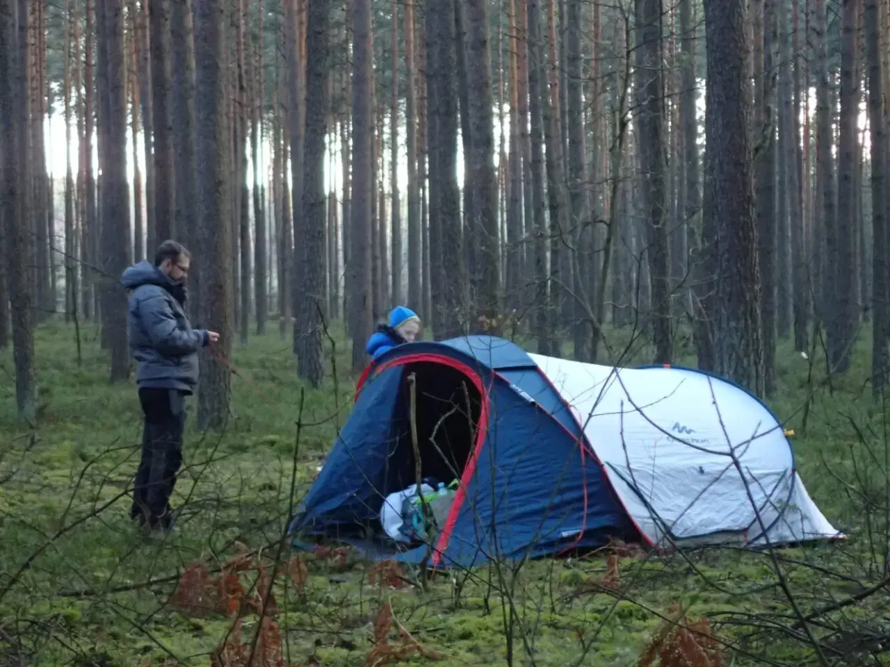 Dwóch ludzi rozbija namiot w lesie. To ich przygoda z survivalem, co to znaczy? To nauka radzenia sobie w dziczy.