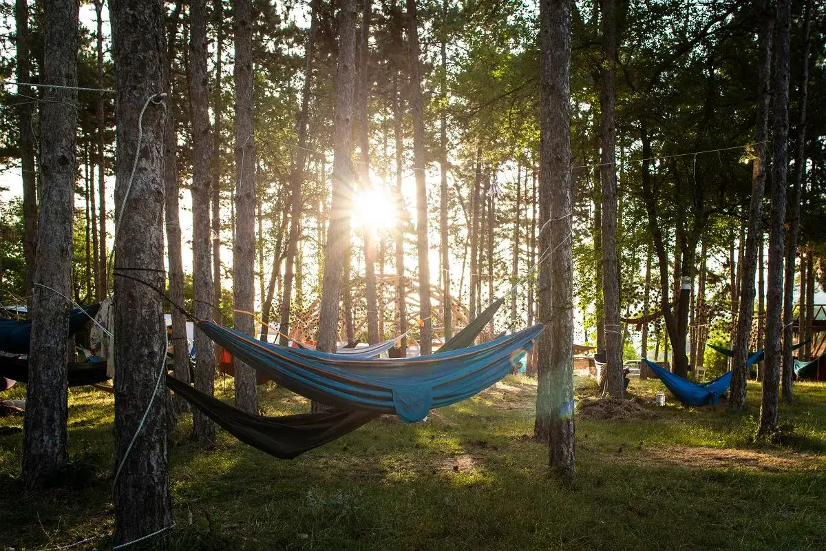 Las pełen hamaków, słońce przebija się przez drzewa. To idealne miejsce na odpoczynek i poznanie, bushcraft co to znaczy w praktyce.