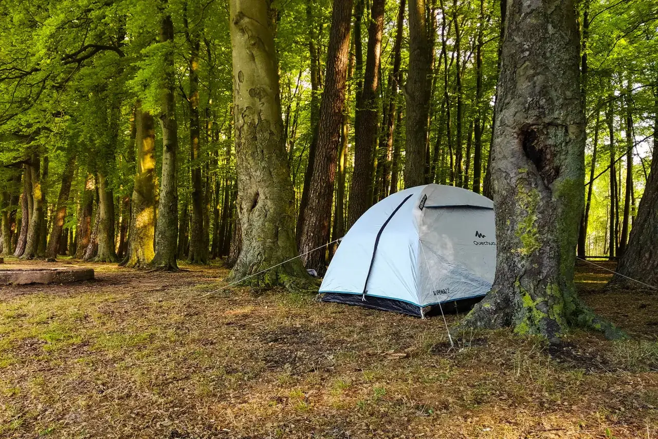 Namiot Quechua rozbity na leśnej polanie. Idealne miejsce na biwak w lesie, otoczone zielenią i spokojem.
