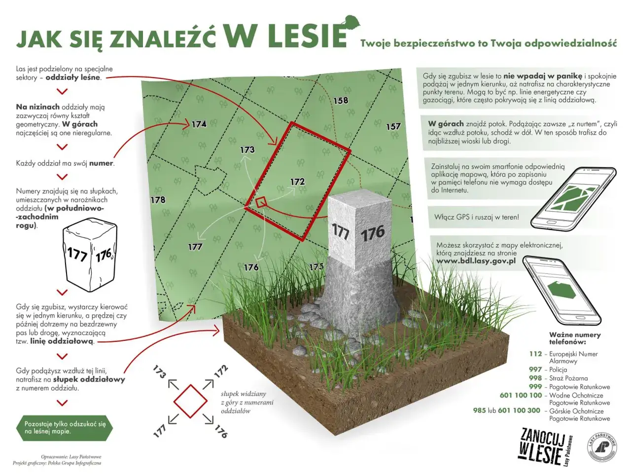 Mapa leśna z zaznaczonymi oddziałami i słupkami, gdzie można rozbić namiot na dziko, podpowiada, jak odnaleźć się w terenie.
