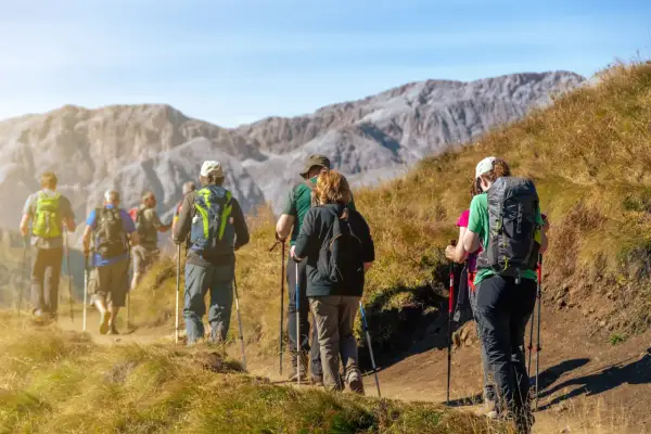 Grupa turystów maszeruje po górskim szlaku, używając kijków trekkingowych. To świetny przykład, jak chodzić z kijkami trekkingowymi, by czerpać radość z wędrówki.