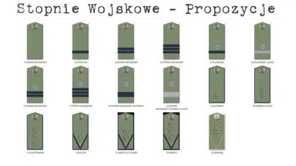 Ilustracja pokazuje stopnie wojskowe, w tym stopień kapitana (Hauptmann).